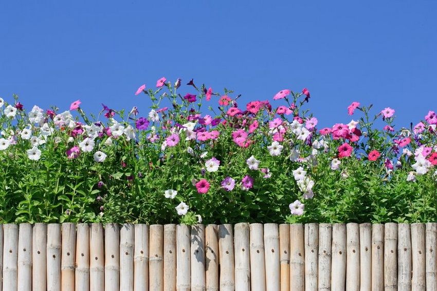 Dekorativt hegn til havearbejde: kreativ udsmykning af blomsterbed og platforme