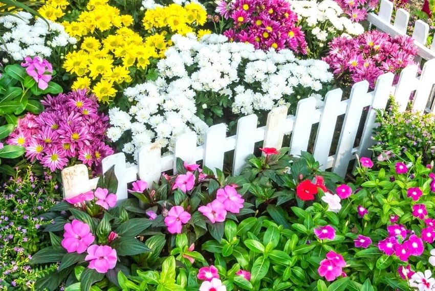 Dekorativt hegn til havearbejde: kreativ udsmykning af blomsterbed og platforme