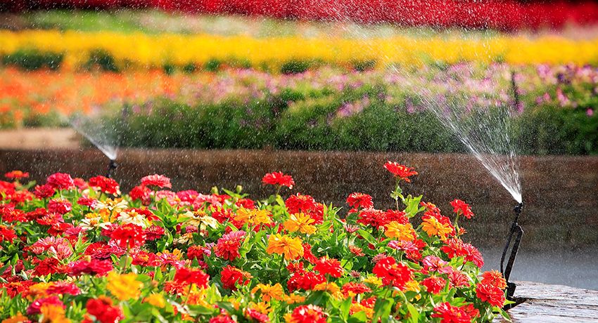 Sprinkler til vanding: skabe et gunstigt mikroklima for planter