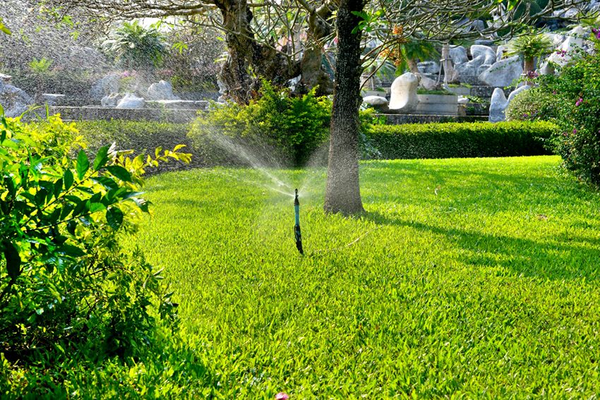 Sprinkler til vanding: skabe et gunstigt mikroklima for planter