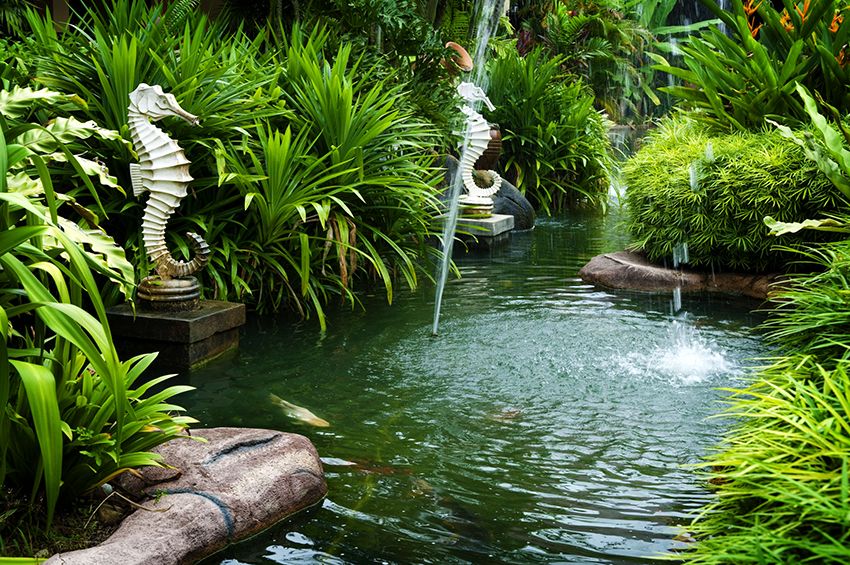 Fountain til haven: et paradis på sin egen side
