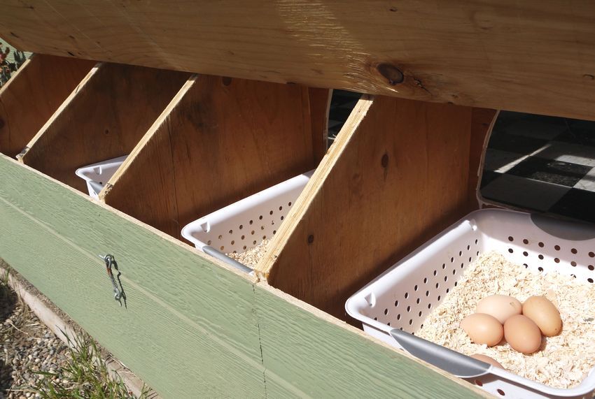 Nest til æglæggende høner med egne hænder: fotos, størrelser, tip