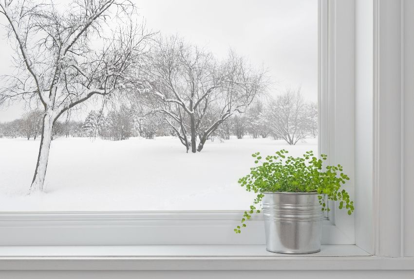 Sådan konverteres Windows til vintertilstand uden hjælp fra en specialist