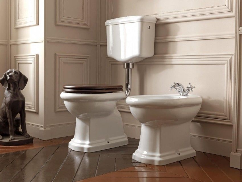Hvordan man vælger et toilet: De vigtigste kriterier og funktioner i forskellige modeller