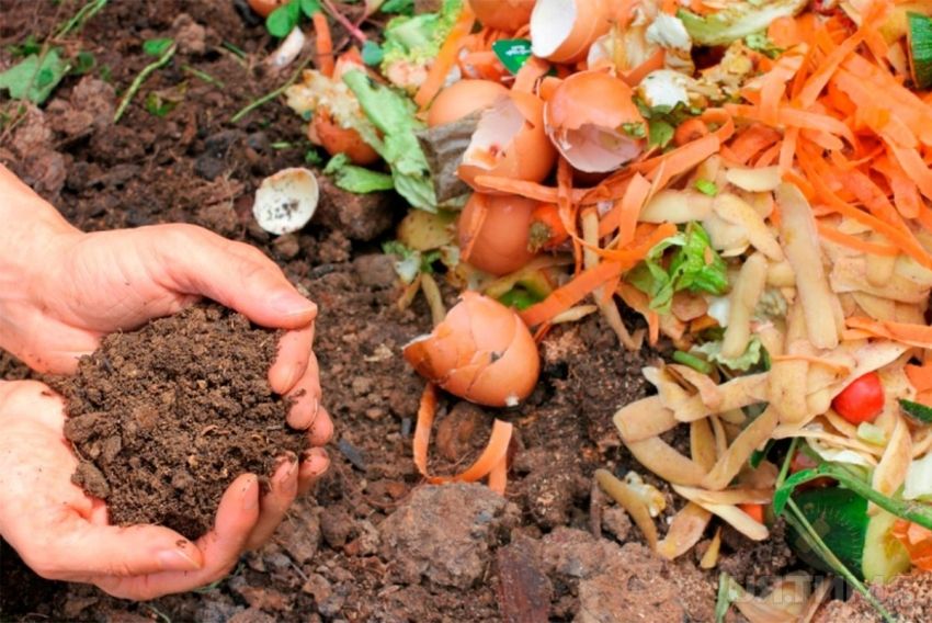 Kompostkorn med egne hænder: muligheder for fremstilling og design