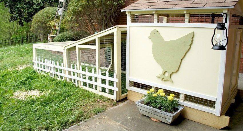 Gør-det-selv hønsekop på 10 kyllinger: tegninger og konstruktionsfunktioner