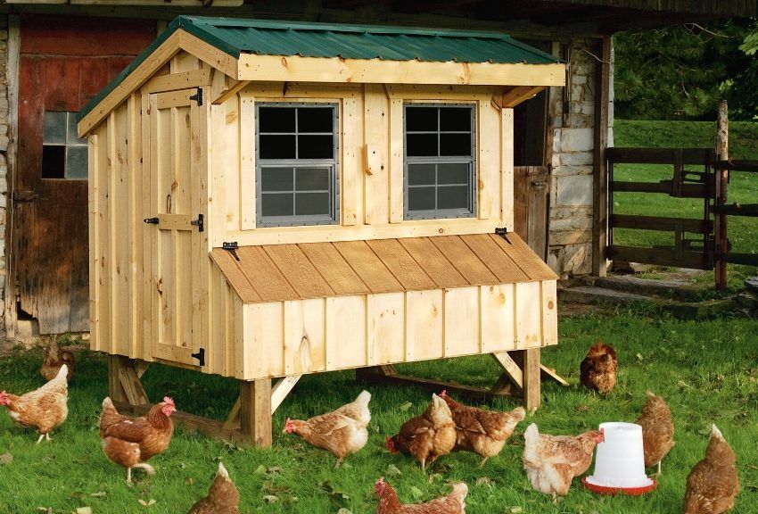 Gør-det-selv hønsekop på 10 kyllinger: tegninger og konstruktionsfunktioner