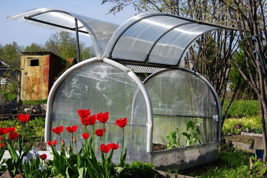 Greenhouse Butterfly: Funktioner selvmonterede design