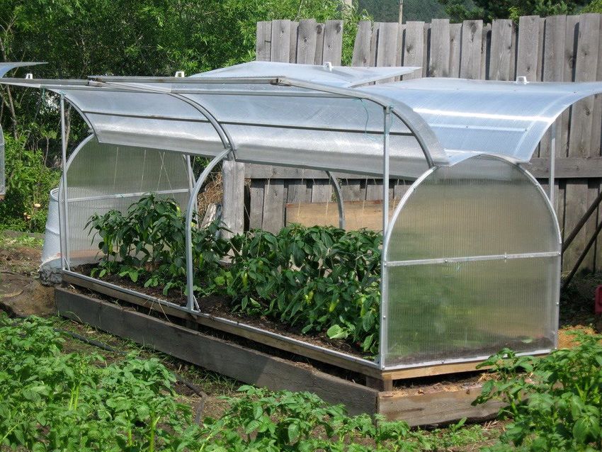 Drivhus til agurker gør det selv: Billeder af de bedste løsninger til dacha