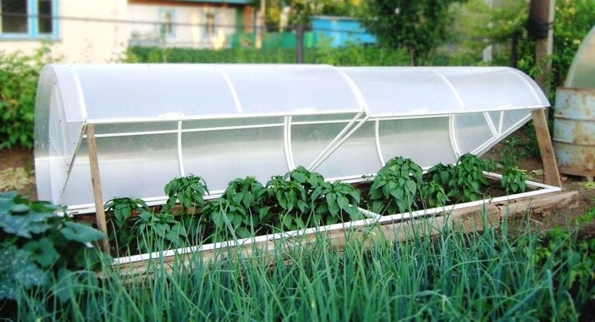 Greenhouse Breadbasket: Funktionelt design til dyrkning af grøntsager