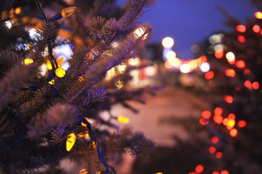 Street LED garlands: Frostbestandige og fugtbestandige dekorationer